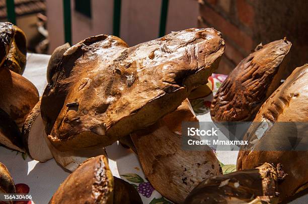 Photo libre de droit de Champignons Porcini banque d'images et plus d'images libres de droit de Aliment - Aliment, Aliment cru, Automne