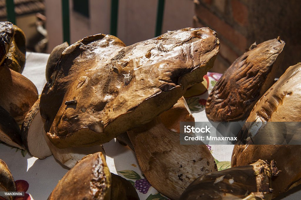 Porcini cogumelos - Royalty-free Alimentação Saudável Foto de stock