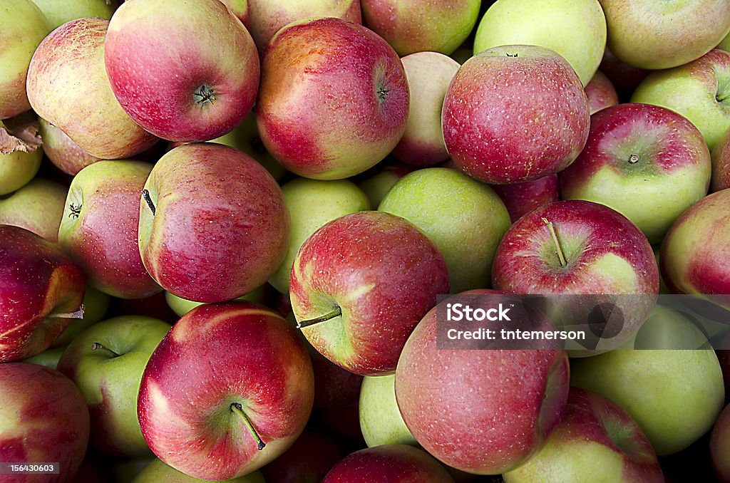 사과들 at 수확하다 - 로열티 프리 가을 스톡 사진