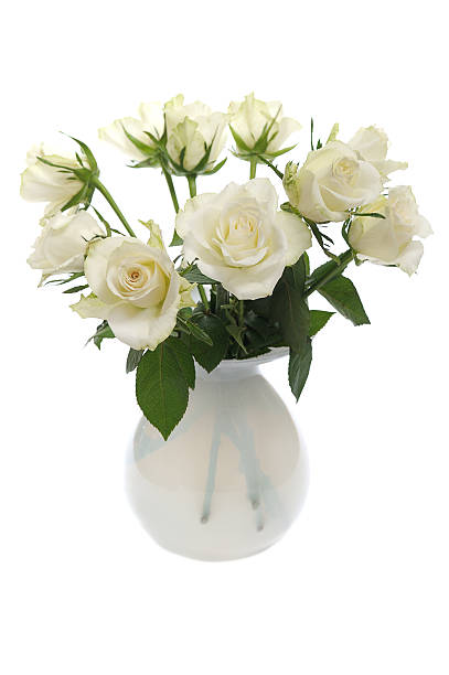 istock bunch of white roses 156431183