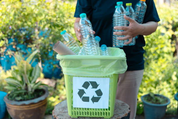 istock Plastic bottle waste for recycling, reuse concept. Volunteers store plastic bottles in cardboard boxes at a park. Disposal, recycling and waste management. Good conscience. 1564318144