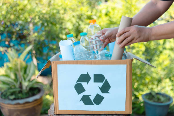 istock Plastic bottle waste for recycling, reuse concept. Volunteers store plastic bottles in cardboard boxes at a park. Disposal, recycling and waste management. Good conscience. 1564318665