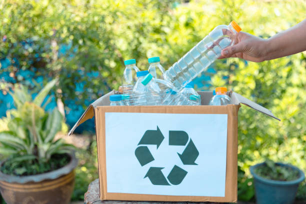 istock Plastic bottle waste for recycling, reuse concept. Volunteers store plastic bottles in cardboard boxes at a park. Disposal, recycling and waste management. Good conscience. 1564322302