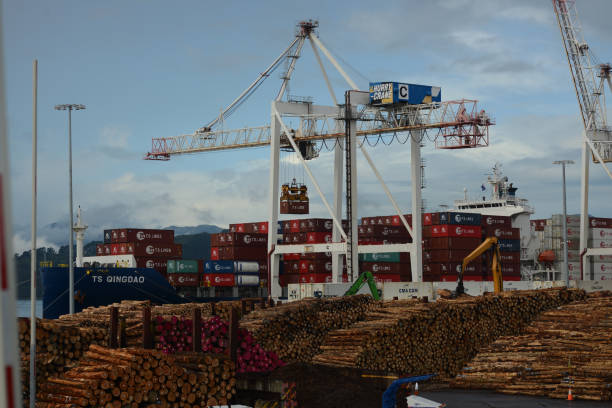 ts qingdao being unloaded - containerisation imagens e fotografias de stock