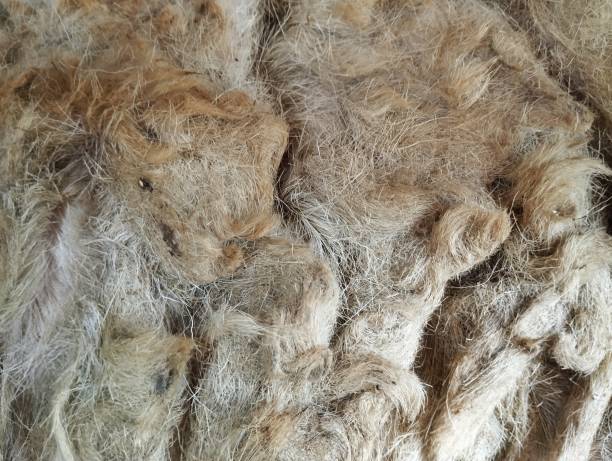 istock Abstract background of fleece 1564338734