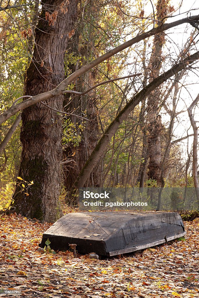 Con barco en el bosque de otoño - Foto de stock de Aire libre libre de derechos