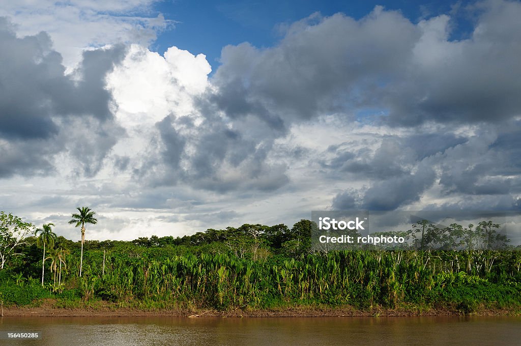 Peru Amazonas - Lizenzfrei Amazonas-Region Stock-Foto