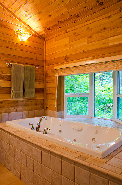 istock Bathroom with a View of the Forest 156450329