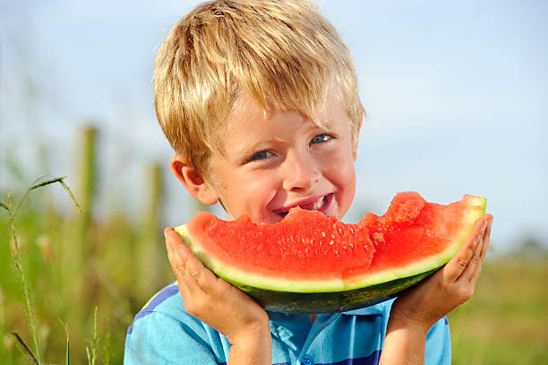건강한 행복함 남자아이 신선한 과일 - watermelon missing bite melon grass 뉴스 사진 이미지