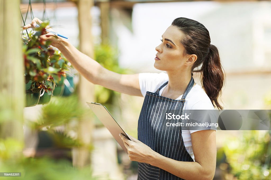 florist checking flowers condition florist checking flowers condition in greenhouse Adult Stock Photo