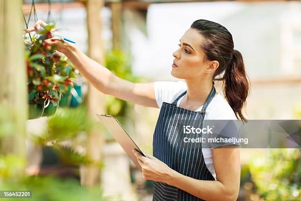 Florist Checking Flowers Condition Stock Photo - Download Image Now - Adult, Adults Only, Apron