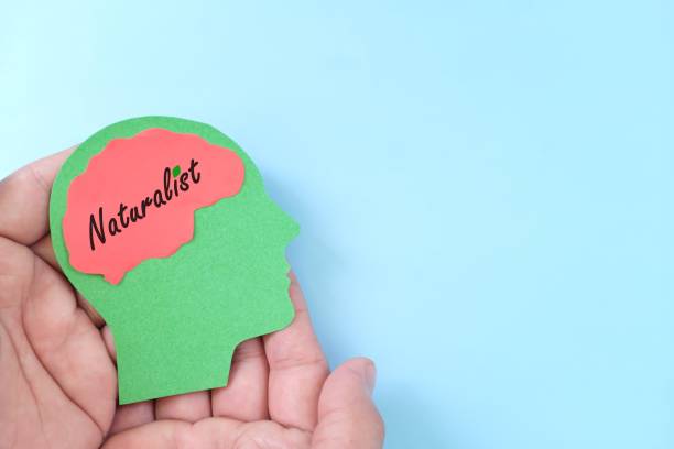 istock Naturalist intelligence in psychology concept. Hand holding human head profile with word text on brain. 1564525008
