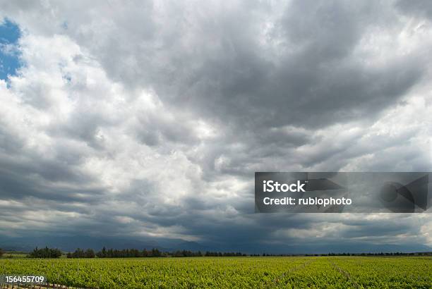 Tempestuosa Céu Sobre Vinha - Fotografias de stock e mais imagens de Agricultura - Agricultura, América do Sul, Ao Ar Livre