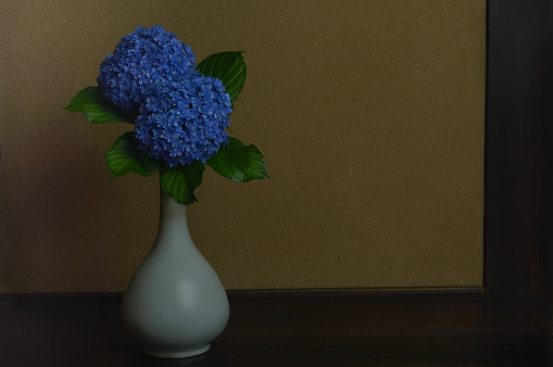 Flower Arrangement with Blue Hydrangeas/Studio Shot