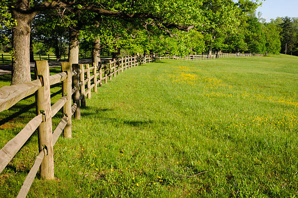 istock Farm pasture and fence 156462081