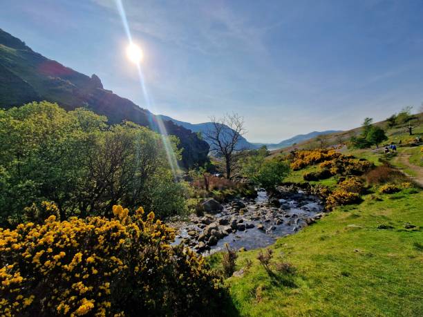 istock Rannerdale knotts and its bluebells 1564663209