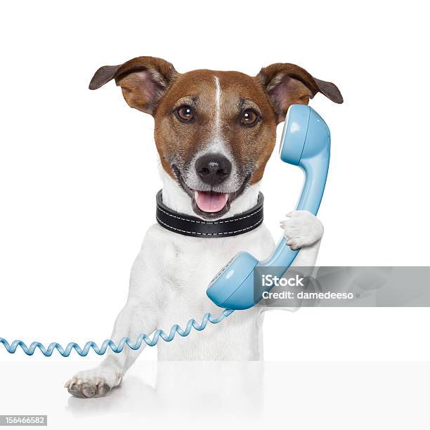 Hund Auf Das Telefon Stockfoto und mehr Bilder von Hund - Hund, Am Telefon, Telefon