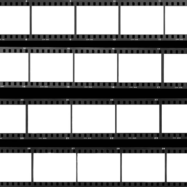 contact sheet blank film frames