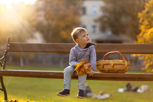 A boy on a bench rejoices in a warm autumn day, a bouquet of yellow leaves in his hands