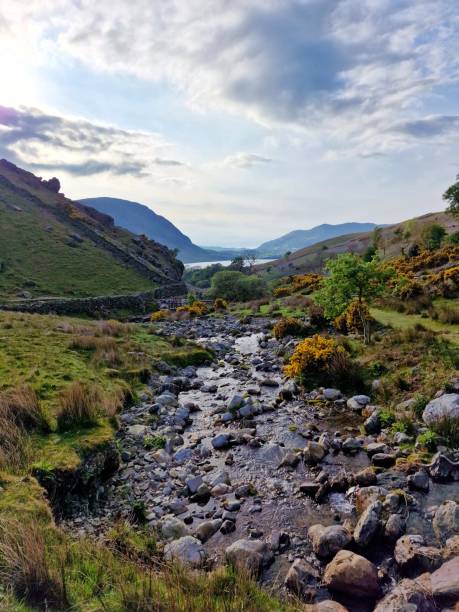 istock Rannerdale knotts and its bluebells 1564670983