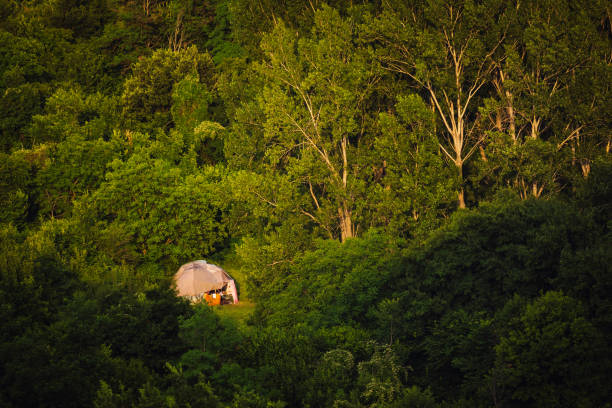 Wooden dome in the forest. Alternative architecture. Environmental conservation concept.