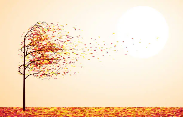 Vector illustration of Autumn tree