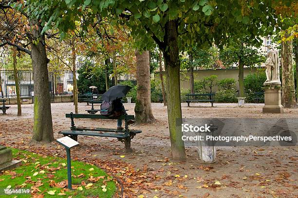 Дождливый День В Jardin Du Люксембург — стоковые фотографии и другие картинки Горизонтальный - Горизонтальный, Дерево, Дождь