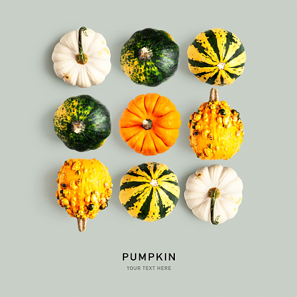 Decorative pumpkins composition and pattern on gray background. Creative layout. Top view, flat lay. Color card. Autumn halloween thanksgiving decoration