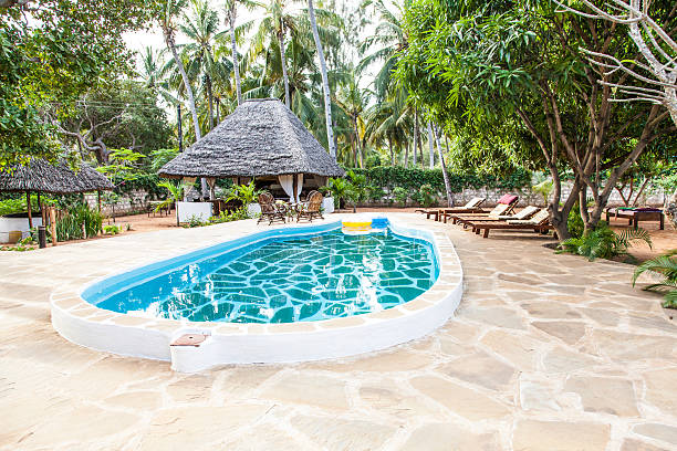 istock Swimming pool in African Garden 156470295
