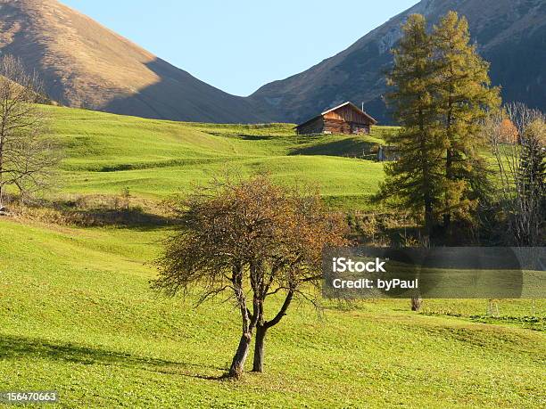 Alpine Mountain Hut I Tree - zdjęcia stockowe i więcej obrazów Alpy - Alpy, Austria, Bez ludzi