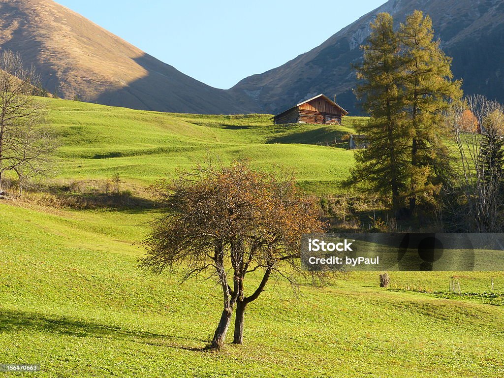 Cabana de montanha Alpes e uma árvore - Royalty-free Alpes Europeus Foto de stock