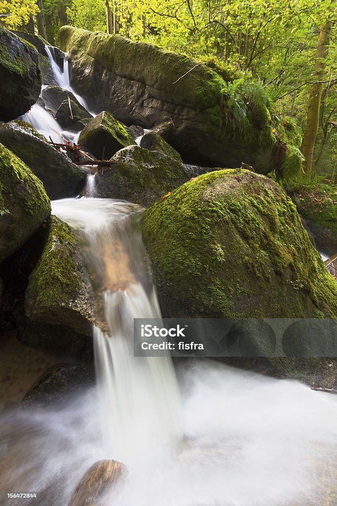 Moss rochas cobertas no Gertelsbacher cachoeiras, Black Forest, Alemanha - Foto de stock de Alemanha royalty-free