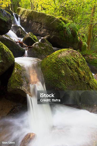 Foto de Moss Rochas Cobertas No Gertelsbacher Cachoeiras Black Forest Alemanha e mais fotos de stock de Alemanha