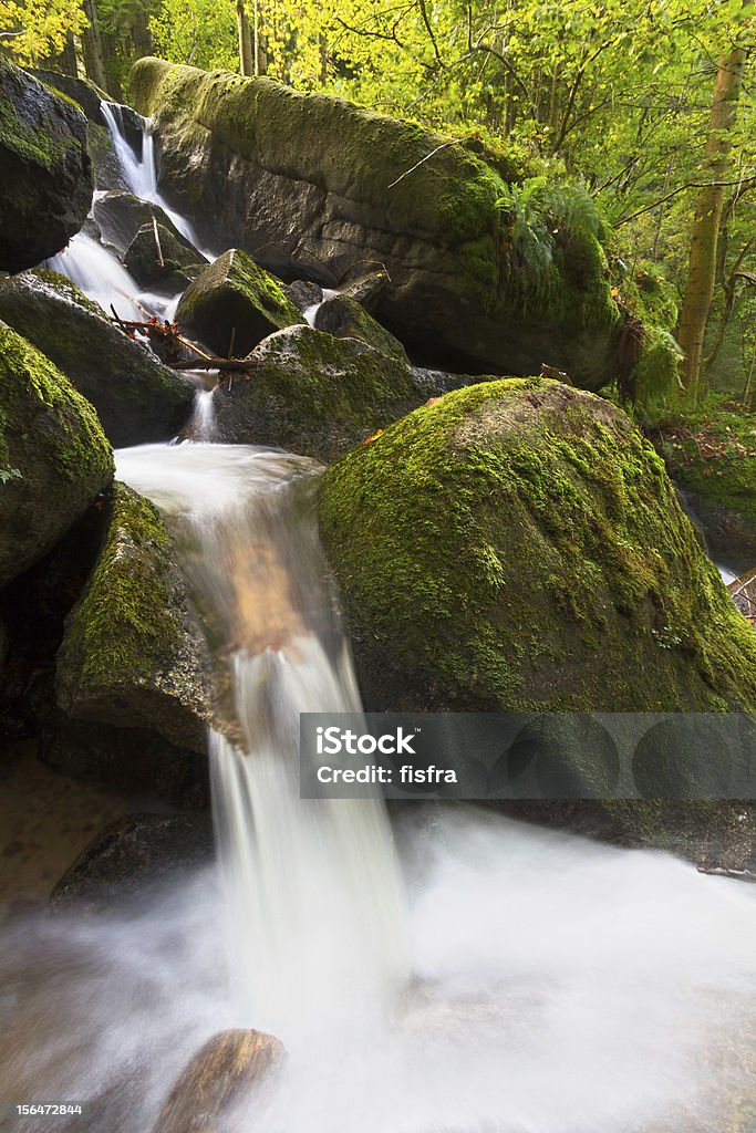 Мох скрытой скалы на Gertelsbacher водопады, черный лес, Германия - Стоковые фото Без людей роялти-фри