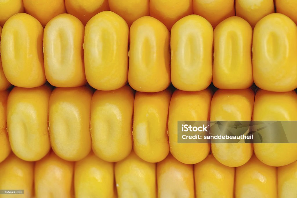 corn de maíz - Foto de stock de Agricultura libre de derechos