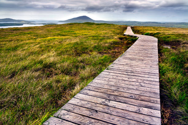 istock Pasarela en Connemara 1564750469
