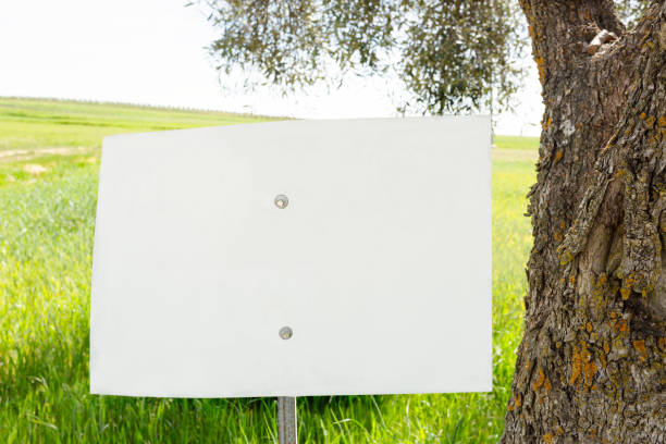 blank sign, large, with two screws and fastening stick next to tree. - vibrant color rural scene outdoors tree imagens e fotografias de stock