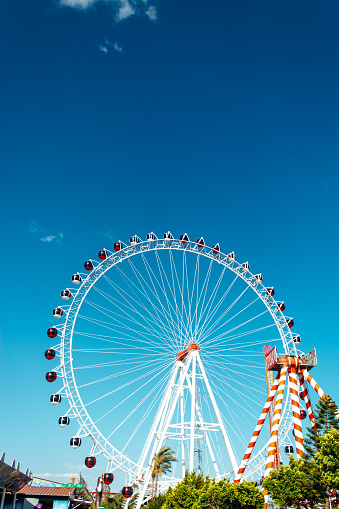 a new ferris wheel in a tropical climate against a clear blue sky