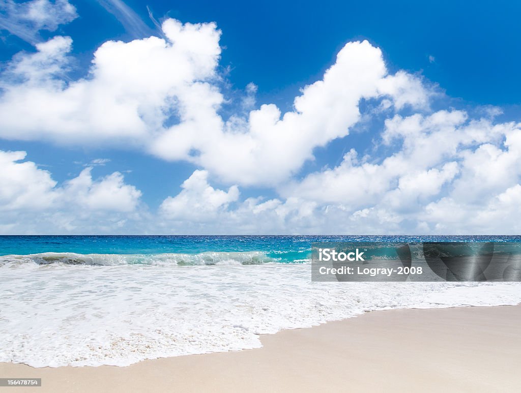 Corallo sabbia bianca e sulle acque azzurre dell'Oceano Indiano - Foto stock royalty-free di Acqua