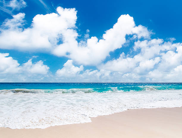 istock White coral sand and azure indian ocean 156478754