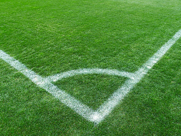 istock Football (soccer) field corner with white marks 156480022
