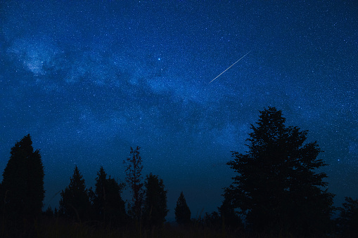 Milky way stars with countryside tree silhouettes.