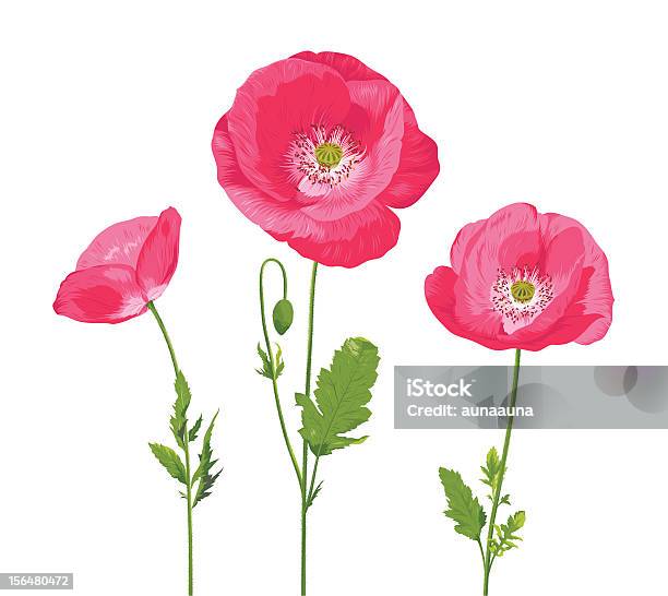 Poppy Stock Vektor Art und mehr Bilder von Blume - Blume, Drei Gegenstände, Klatschmohn