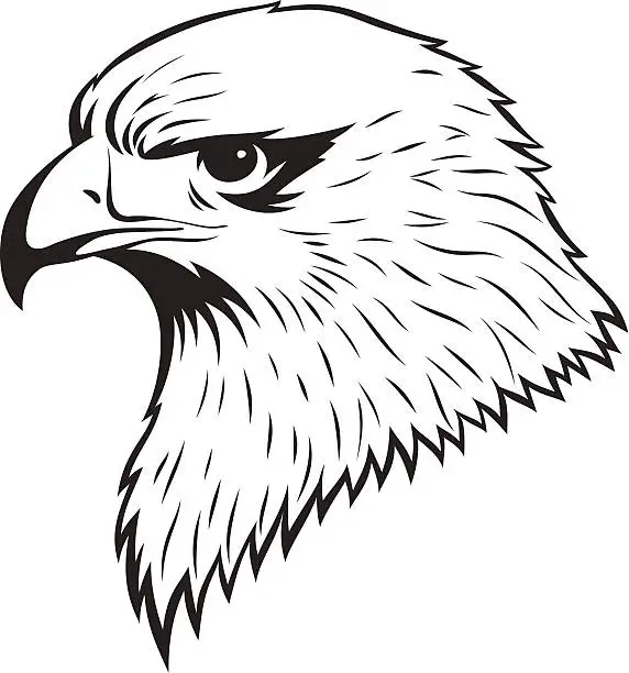 Vector illustration of Eagle head