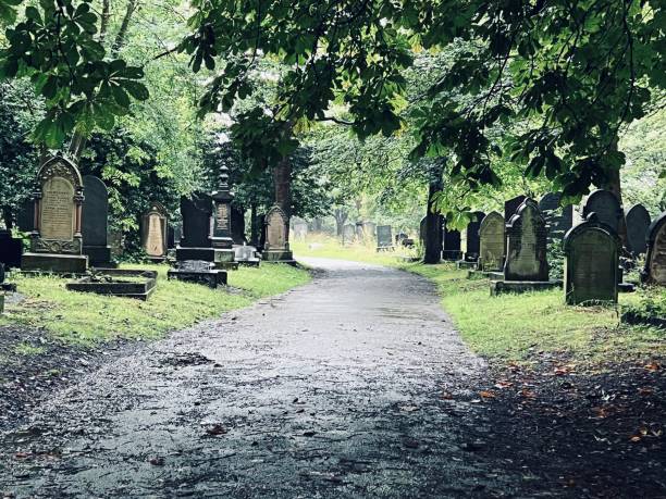 istock The Cemetery in North Shields 1564819043