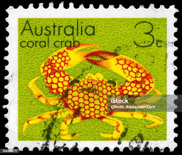 Coral De Cangrejo Foto de stock y más banco de imágenes de Animal - Animal, Animales salvajes, Australia