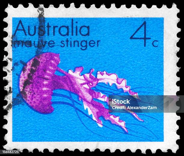 Mauve Insektenstachel Stockfoto und mehr Bilder von Aquatisches Lebewesen - Aquatisches Lebewesen, Australien, Briefmarke