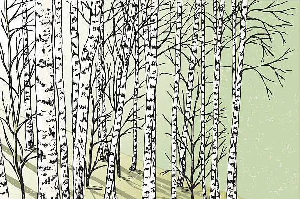 Vector illustration of spring forest