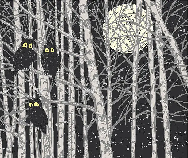 Vector illustration of night in the forest