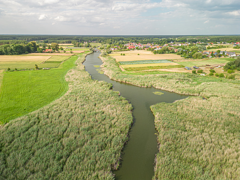 Obra - a lowland river in western Poland with a length of 164 km, the left tributary of the Warta River